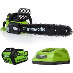 GREENWORKS MOTOSEGA A...